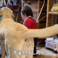 今度は女の子もやってきて…