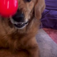 ちょっぴりムキ顔に