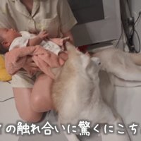 初めての触れ合い