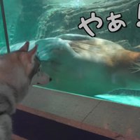 ご挨拶できたよ♪
