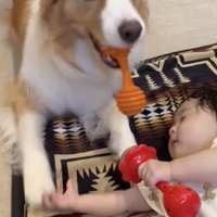 おもちゃを拾い上げて…