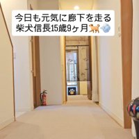 飼い主さん宅
