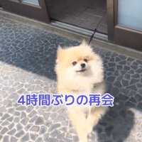 ますお君の熱烈歓迎7