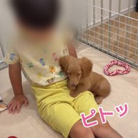 ぴったりくっついた♡