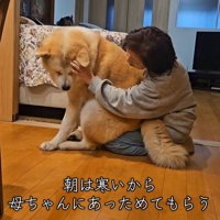 寒い日の朝の駄偉助くん