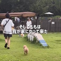 みるみる縮まる距離