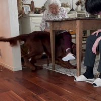 おばあちゃんに突撃！！