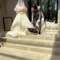 無事パパの足元へ