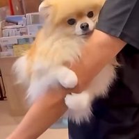 抱っこされながら腕をぎゅっ♡