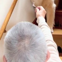 お留守番を頼んだら…