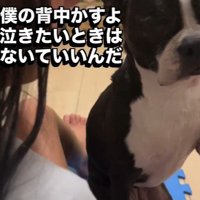 背中を差し出して…