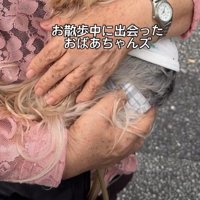おばあちゃんと出会った