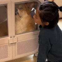 ドライヤーハウスの中をのぞき込む女の子