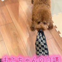 靴下を脱がせるのが日課！