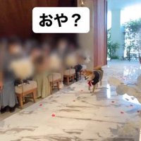 リングドッグに挑戦する大吉くん2