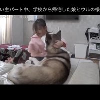 ウルくんの元へ直行！