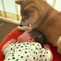 優しい眼差しが母のよう…