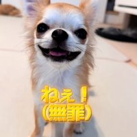 笑顔のチャイちゃん