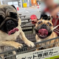 2匹とも楽しそう♪