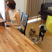 じーっ♪