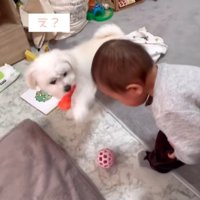 リリちゃんと赤ちゃん4