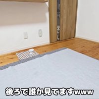 じゅんちゃんが見てる…！