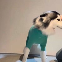 ドッグランコーデが完成♪