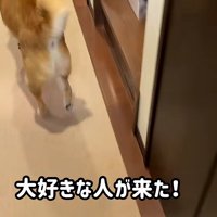 おばあちゃんが来ると…