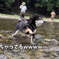 片手を上げてフリーズ