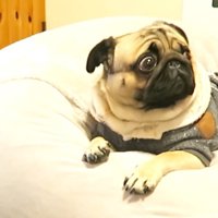 お目目がまん丸に（笑）