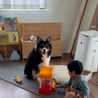 ママを見るレアちゃん