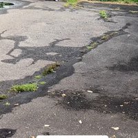 ぶん太くんとパパさんのお散歩4