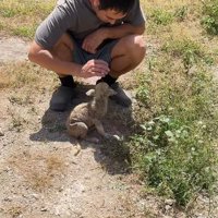 ご主人が近づくと…