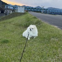 「首から上しか動いてない」と言われるちくわさん