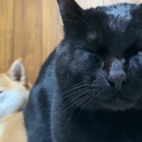 天くんの幸せそうな寝顔