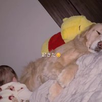 再び起き上がるも…