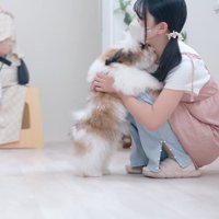 トリマーにじゃれつく子犬