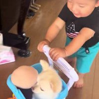 押し車のカゴにわんこが！