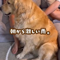 雷が大の苦手