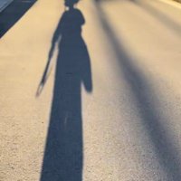 お散歩するわんこと男性