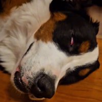 白目の都ちゃん