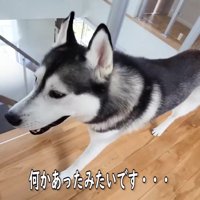 「大変です…！」