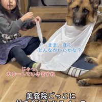 こちらもキュンとしちゃいます