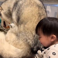 赤ちゃんのそばに腰を下ろす犬