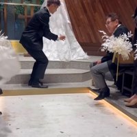 役目を終えてはける中型犬