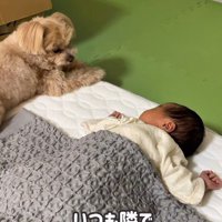 いつでも見守ってきた