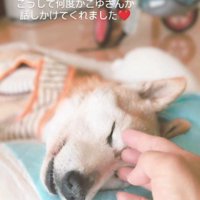 頭を撫でると…