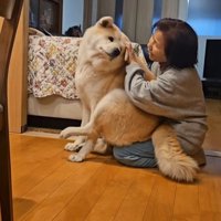 寒い日の朝の駄偉助くん3