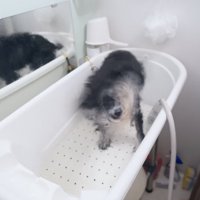 豪快なブルブルッ