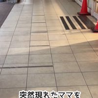 ママが現れた時のきなこちゃん